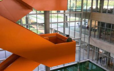 Natura inaugura nova (e bela) sede, criada após concurso de arquitetura.